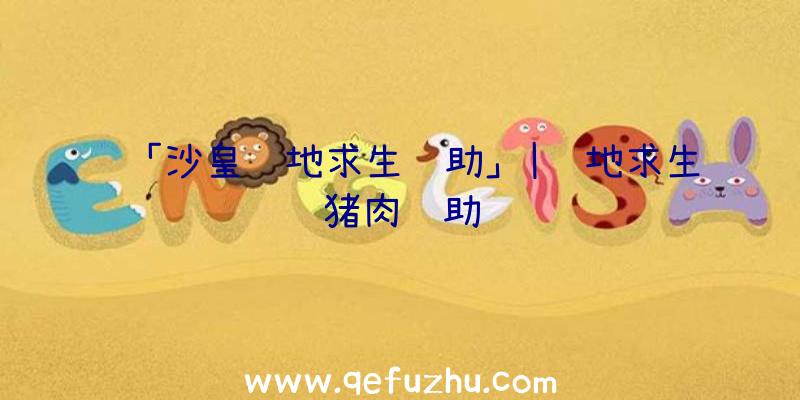 「沙皇绝地求生辅助」|绝地求生猪肉辅助
